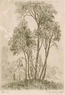Study of Young Trees by George Eddy, Etching 